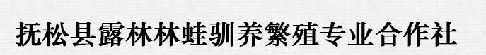 公司简介配图
